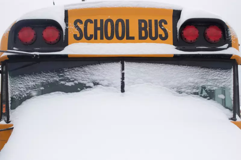 Windsor-Essex School Buses Cancelled Amid Persistent Frigid Temperatures