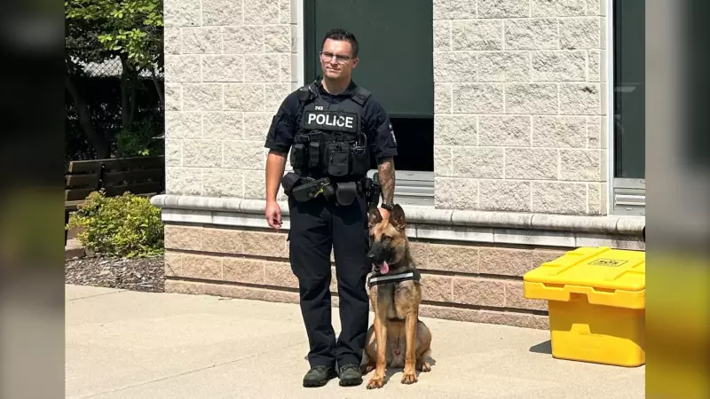 Windsor Police K9 Link Apprehends Two Break-In Suspects in Successful Operation