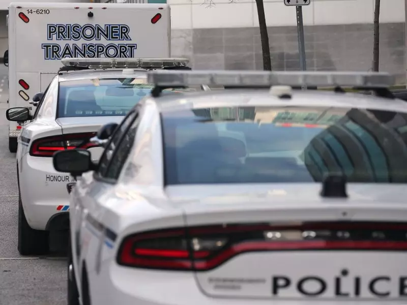 Windsor Police Seek Driver After Pedestrian Hit-and-Run in Winter Storm