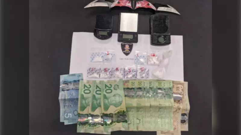 Windsor Police Seize Cash and Drugs in East End Raids on Tecumseh Road