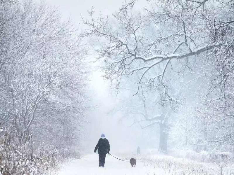 Windsor's 2026 New Year Guide: Nature Walks, Cold Plunges & Running Clubs