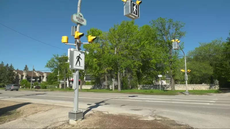 Winnipeg Plans to Expand Pedestrian Head-Start Crosswalk System in 2026