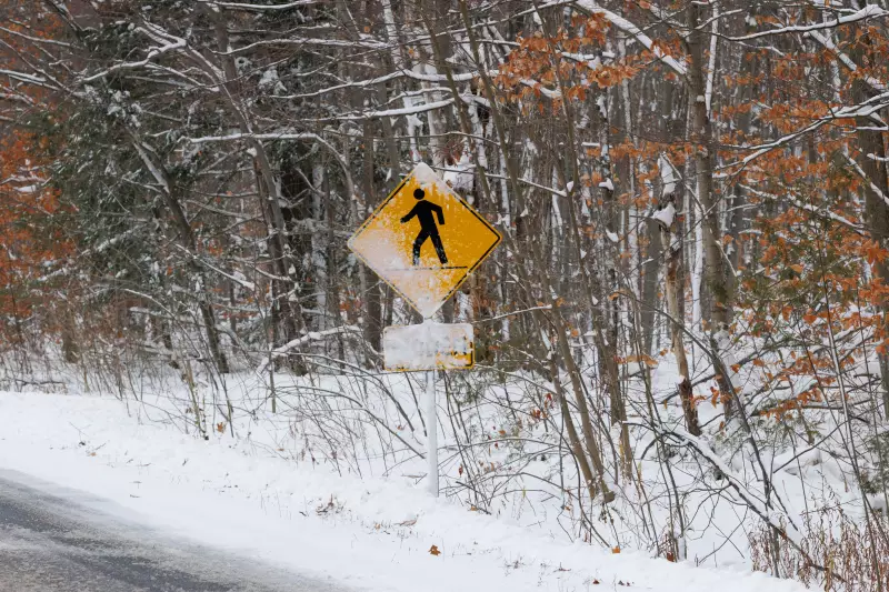 Winter Storm Warnings Blanket Canada, Up to 70 cm of Snow Forecast
