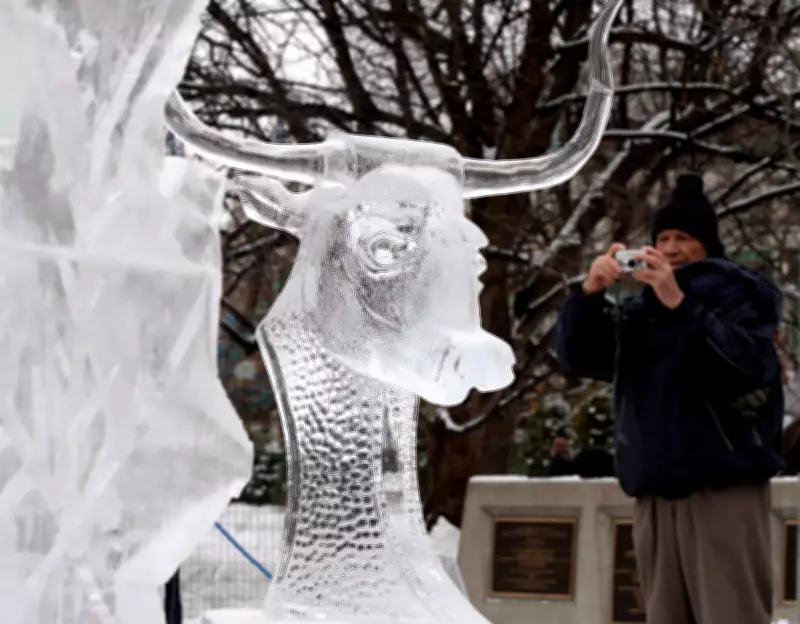 Winterlude 2026: Ottawa's 48th Annual Winter Festival Guide and Highlights