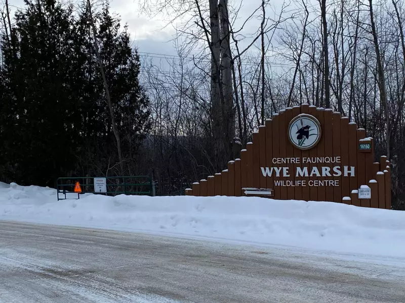 Wye Marsh Open House Showcases Unique Animal Habitats in Barrie