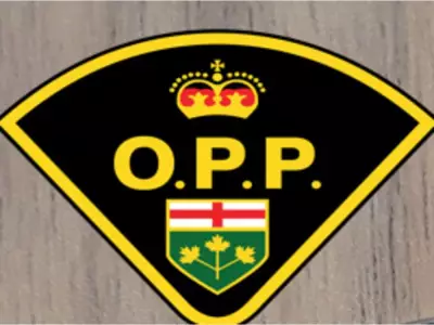 33-Year-Old Man Struck by Tractor Trailer in South Glengarry Parking Lot