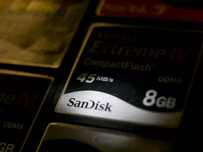 AI Boom Fuels Memory Stock Surge: Can 2025's Top Trade Keep Winning in 2026?