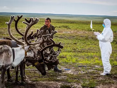 Anthrax: From Ancient Disease to Modern Bioweapon - A Canadian Perspective