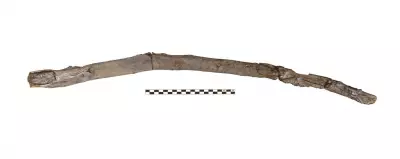 Archaeologists Unearth World's Oldest Wooden Tools in Greece