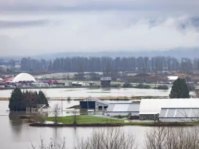 B.C. Floods Expose Gap: Why Canada's Climate Plans Must Protect Farm Animals