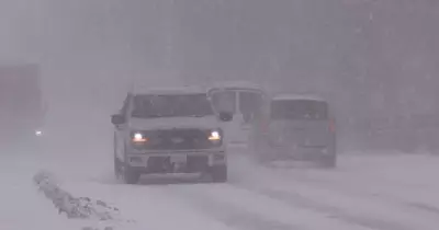 Bruce County Snowplows Halted Amid Severe Winter Weather and Safety Concerns