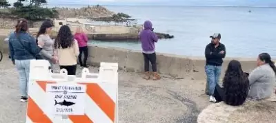 California Coroner Confirms Swimmer Died in Monterey Bay Shark Attack