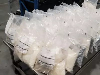 Canadian Associate of Surrey Drug Kingpin Pleads Guilty in California Conspiracy Case