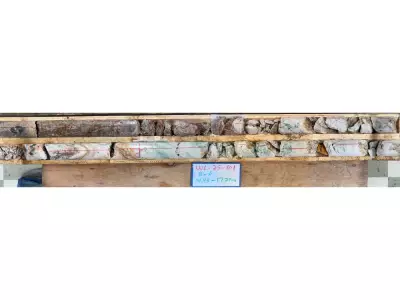 Canterra Minerals Hits High-Grade Gold in Newfoundland: 10.89 g/t Over 31.5 Metres