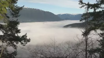 Dense Fog Advisory Blankets B.C.'s South Coast, Visibility Reduced