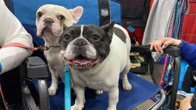 Edmonton Pet Expo Draws Thousands to Celebrate Animal Companions