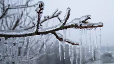 Freezing Rain and Icy Conditions Expected Across Ontario on Tuesday