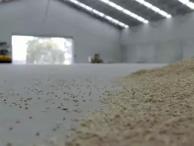 Global Food Stockpiling Surges as Nations Brace for Instability