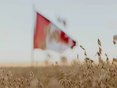 Granola Bar Decline Signals Health Trends, Price Pressures, and Farmer Challenges