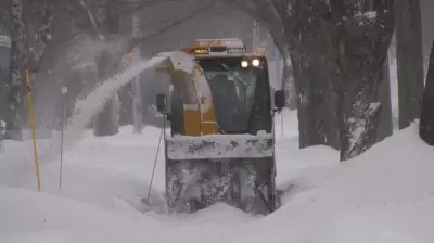 How the U.S. Polar Vortex and Winter Storm Will Impact Maritime Weather Patterns