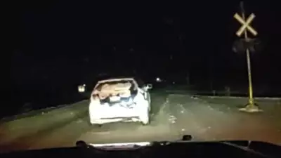 Impaired G1 Driver Falls Asleep at Train Crossing in Oxford County