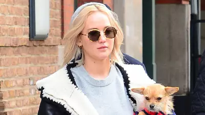 Jennifer Lawrence Rehomes Dog After Son's Bite, Sparks Parenting Debate