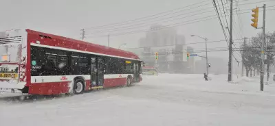 Major Winter Storm Hits Toronto and Mississauga with Up to 60 cm of Snow