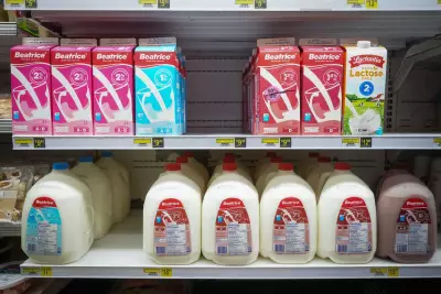 Manitoba Grocers Squeezed by Milk Price Freeze, Warn of Financial Strain