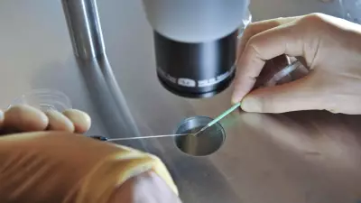 McGill Breakthrough Could Boost IVF Success Rates, Study Reveals