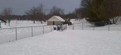 Midland's Little Lake Dog Park to Get New Small-Dog Area, Splash Pad in 2026