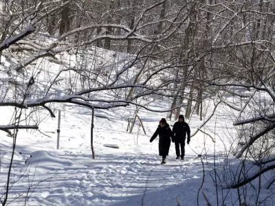 Montreal's Falaise St-Jacques Nature Park Plan Deferred, Residents Feel 'Betrayed'