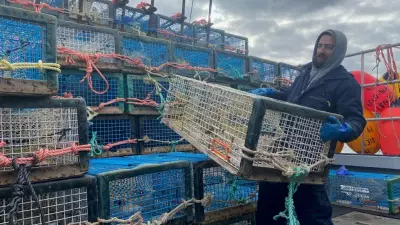 Nova Scotia Lobster Fishers Celebrate as China Suspends Tariffs