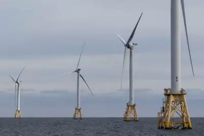 Nova Scotia Offshore Regulator Launches Study for Potential Wind Farm Sites