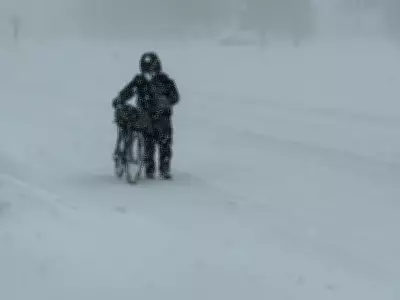 Old Farmer's Almanac Predicts Extended Winter-Like Spring Across Canada