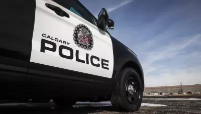 Pedestrian Struck by Vehicle in Southeast Calgary, Police Investigating