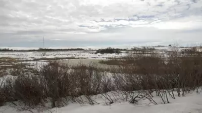 Record Warmth in Saskatchewan: Farmers Assess Impact on 2026 Crops