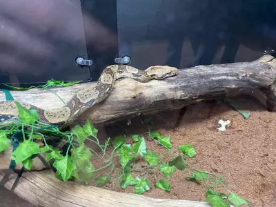 Saskatoon Wildlife Festival Returns with Exotic Animal Showcases at Prairieland Park