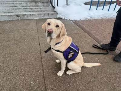 Stratford Police Welcomes Facility Dog Dusty for Emotional Support