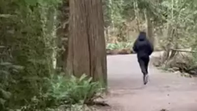 Sunshine Coast RCMP Release Video of Indecent Exposure Suspect Fleeing Trail Incident