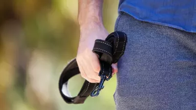 Toronto man loses appeal to regain dog after alleged online death threat video