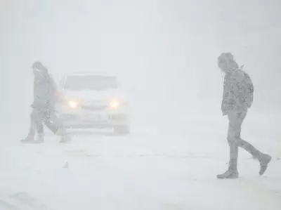 Toronto Snow Removal Timeline: City Officials Detail Multi-Day Cleanup After Major Storm