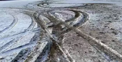 Vandalism at Pelee Island's East Park Activity Field Called 'Unprecedented'