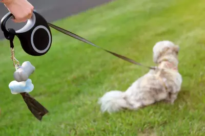 Windsor-Essex Mayor Urges Leash Laws After Weekend Dog Incident