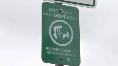 Winnipeg Pet Waste Complaints: Data Reveals City's Canine Cleanup Challenges