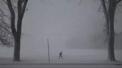 Winter Storm Forces Maritime School Closures, Disrupts Atlantic Canada