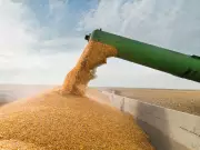 Activist Investor Plantro Demands Board Overhaul at Ag Growth International