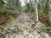 B.C. Homeowner Faces $2 Property Value After Landslide, Seeks Government Aid