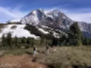 B.C. Parks Announces 2026 Camping Fee Increases with $20 Surcharge for Out-of-Province Visitors