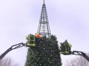 Bright Lights Windsor Draws Over 105,000 Visitors for 2025-2026 Festival