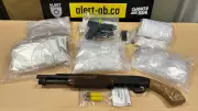 Calgary Drug Bust: Cocaine, Methamphetamine and Firearms Seized in Major Trafficking Investigation